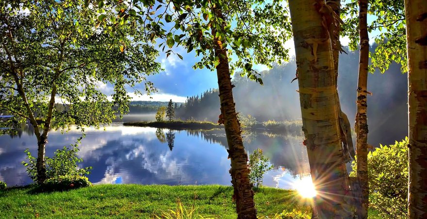 Luonto aurinko kesä