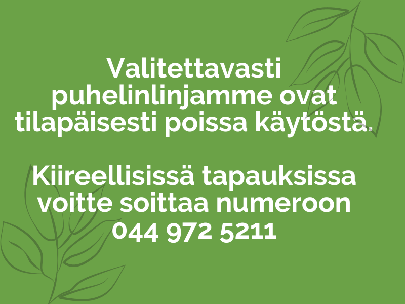 Vitamiinit, maitohappobakteerit ja muut ravintolisät – Koivu Apteekki,  Tampere I Palvelua terveytesi hyväksi